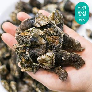 거제도 자연산 거북손 별미