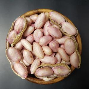 국산 생땅콩 햇땅콩 피땅콩 2kg  AZ-422