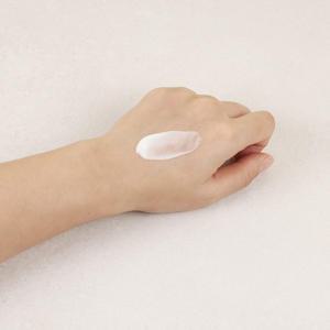 라보니따 내추럴 스킨 핏 선블록 50g / SPF50+PA++++