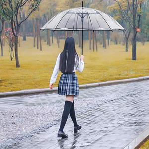 대형 투명 장우산 골프 클리어 튼튼한 16K 자동 우산