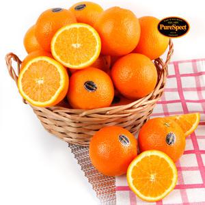 블랙라벨 고당도 오렌지 중소과 10개 1.5kg 내외