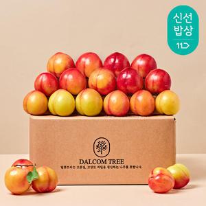 [품질보장] 달콤트리  새콤달콤 고당도 자두2KG(소과)