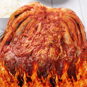 매운 포기김치 실비김치 1kg / 당일제조 발송