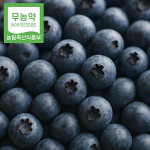순창 무농약 생 블루베리 14-17mm 1kg