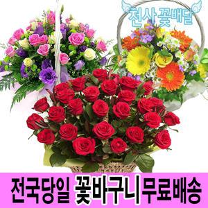 [천사꽃배달]꽃바구니/꽃다발/장미꽃/백합/생일선물/어버이날/스승의날/결혼기념일/프로포즈/