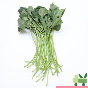 고구마 줄기 4kg
