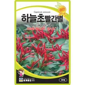 세계종묘 하늘초빨간별 씨앗 30립 매운맛 꽃고추씨 이색고추 종자
