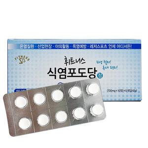 휘트니스 식염포도당 정 700mg 10정 x 6개입 60정 PTP 개별포장 야외활동 산업현장 여름