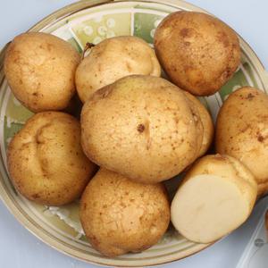 포슬포슬 햇감자(수미감자) 3kg, 5kg