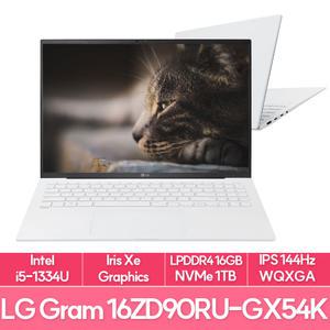 LG전자 그램16 16ZD90RU-GX54K 인텔i5 램16G NVMe1TB교체 사무용 대학생 노트북 추천 EU