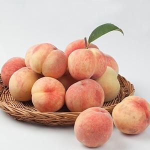 [착한식탁]대극천 반납작 복숭아 3kg 랜덤과