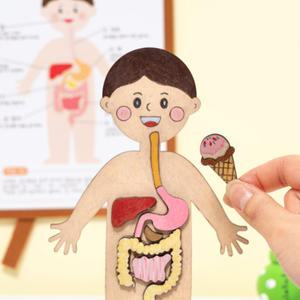 [오피스스쿨] 민화샵 과학교구 재미있는 인체지도 음식물 소화기관 MDF 만들기 초등교육교구