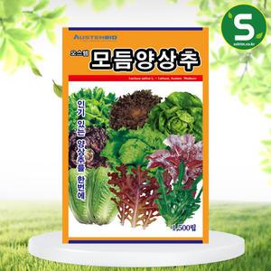 양상추씨앗 제일모듬양상추 1500립 6가지 이상 품종