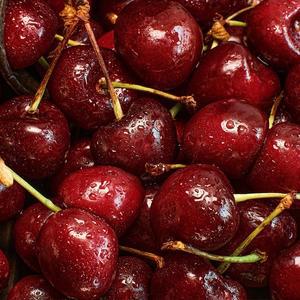 [농부들의수확]항공직송 로얄과사이즈 ! 생 체리 1kg (9.5R)