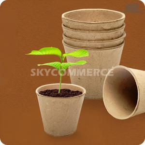 S커머스 종이 모종화분 20P 씨앗키트 소형화분