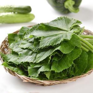 호박잎 1kg (호박잎쌈밥)