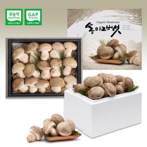 쫄깃쫄깃 향긋한 국내산 여주 못난이 송이고버섯 1kg 당일수확 플레이버
