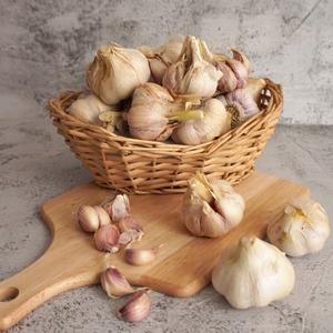 [더조은] 해남 햇마늘 소 반접 (50개) 1.2kg 내외