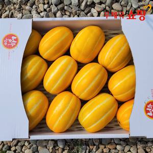 [우체국쇼핑] [성주참외 한아름] 벌꿀성주참외 5kg