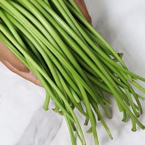 [장보리]국산 생 고구마순 고구마줄기 2kg