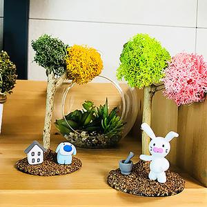 [문구티쳐] 스칸디아모스 그늘아래 5인세트 클레이만들기 만들기세트 공기정화식물 모스