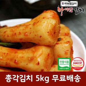 한국농협김치 국산 재료 진안 마이산 총각김치 5kg