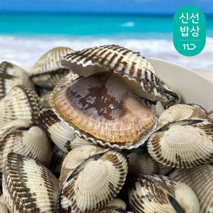 국내산 제철 벌교 꼬막 남해안 피꼬막 특품