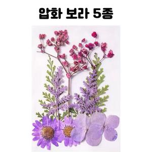 레진 공예 아트 재료 믹스 보라 압화 드라이 플라워