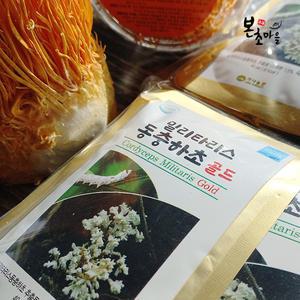 밀리타리스동충하초액 30포, 동충하초, 건강버섯, 종균버섯, 종균동충하초