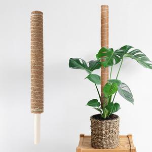 랩앤툴스 코코봉 연결형 식물 화분 몬스테라 지지대 지주대 플라스틱 수태봉 40cm