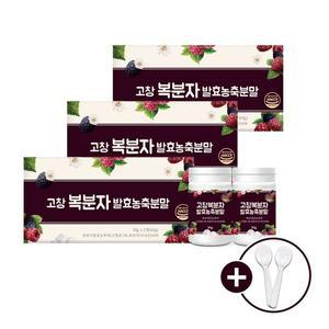 고창복분자 발효농축분말 6통+스푼 2개