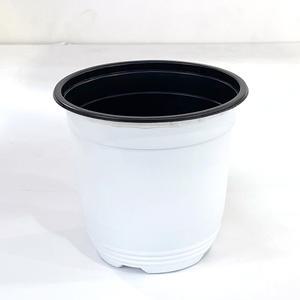 이색포트(흰색)150 비닐포트 화분 모종 분갈이흙