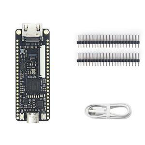 Tang Nano FPGA 개발 보드, 고윈 GW1NR-9 RISC-V, HDMI 호환, 9K