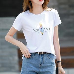 [알트베니] 로베라인견혼방티3종
