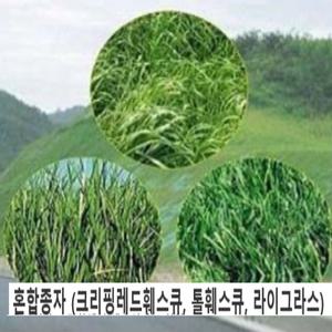 조경용씨앗 혼합양잔디씨(3종 혼합잔디) 20kg lt102