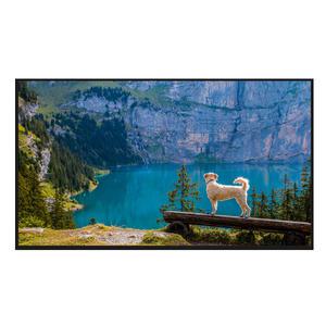 LG전자 55UT9300KNA 55인치 각도조절 벽걸이 1등급 울트라HD LED TV 대성가전