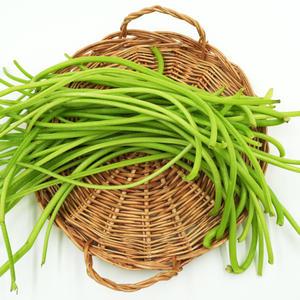 국산 생 고구마순 고구마 줄기 줄거리 500g 1kg