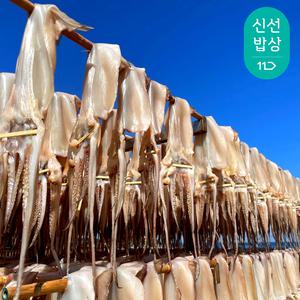 [더이득/2개이상 5% 할인]국내원양.가공 믿고 먹는 몰먹지 촉촉 쫄깃 반건조 오징어 10미 (700-800g) 소