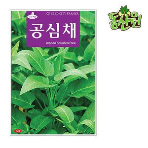공심채씨앗 10g 공심채종자 모닝글로리 채소씨앗
