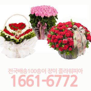 100송이 프로포즈 꽃배달 서비스/ 장미 꽃바구니 꽃다발