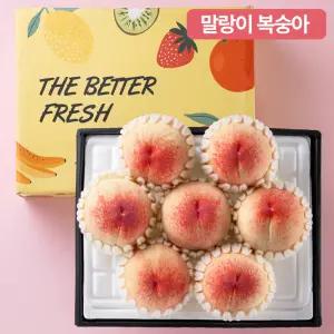 북충주 농협에서 엄선한 제철 말랑이 복숭아 선물세트 1.8/3kg (5-7/8-12입)