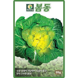 다농 봄동배추 씨앗 20g 월동재배 봄동배추씨 종자
