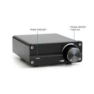 AIYIMA 가정용 패시브 스피커용 서브 우퍼 앰프 클래스 TPA3116 파워 100W 모노 D 오디오 미니