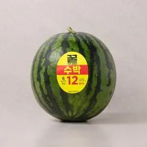 꿀처럼 달콤한 수박 5~6kg미만