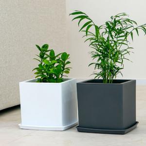 사각큐브형 플라스틱화분2호 화분+받침대 SET 3P 흰색/화초화분/식물화분/분갈이화분/분재화분/베란다화분