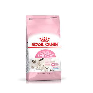 로얄캐닌 마더앤베이비 고양이 캣 2kg