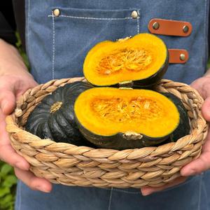 [롯데백화점]친환경팔도 제주 미니단호박 밤호박 1kg 소과