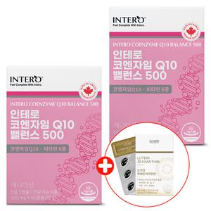 인테로 coq10 코엔자임큐텐 밸런스 2개 코큐텐 Q10 항산화 높은 혈압감소 도움 줄 수 있음