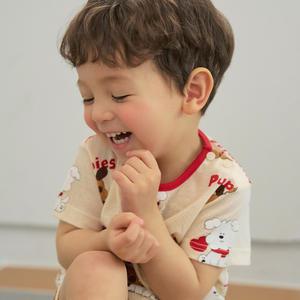 퍼피스 반소내의