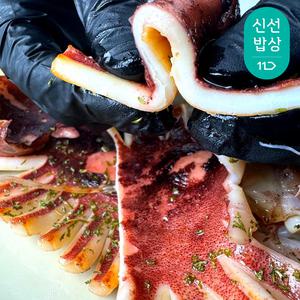 [더이득/2개이상 5% 할인]국내 원양 가공 믿고 먹는 몰먹지 촉촉 통통 반건조 오징어 10미 (1.5-1.6kg) 특대
